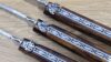 Trio Prestige ladybug Laguiole in aubrac